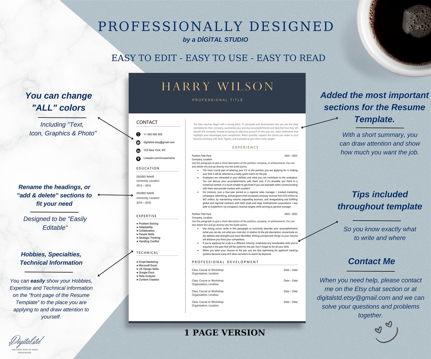 Clean Resume Template Google Docs, Word & Pages, Minimalist Executive Resume, Simple Modern Smooth Template, Minimal Resume Template 2024